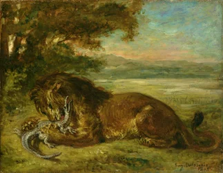 Lion et alligator